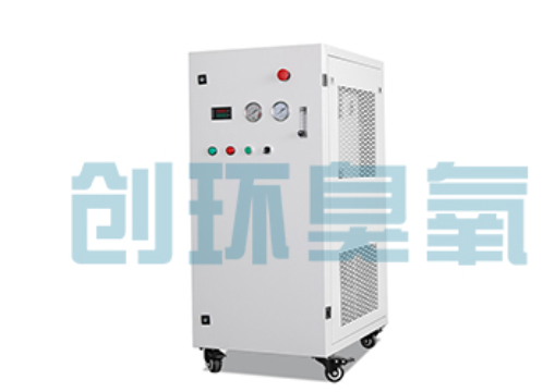 上饶石斑鱼养殖水质调控完整指南:臭氧发生器配置与操作步骤