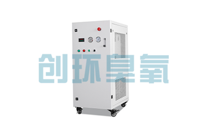 上饶比传统换水更高效?臭氧发生器在石斑鱼养殖中的水质净化原理解析